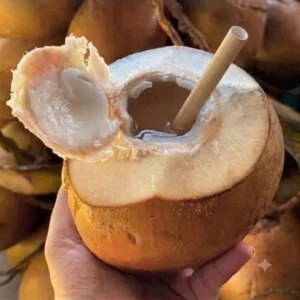 Fresh coconut (Dừa trái)